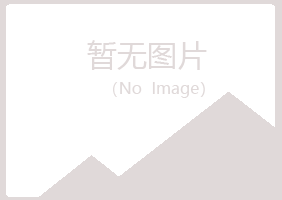 大新县映梦化学有限公司